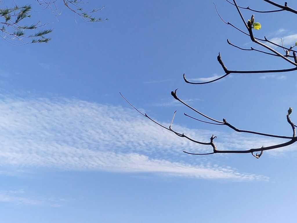 Return to Allah spiritual Refelection in Islam